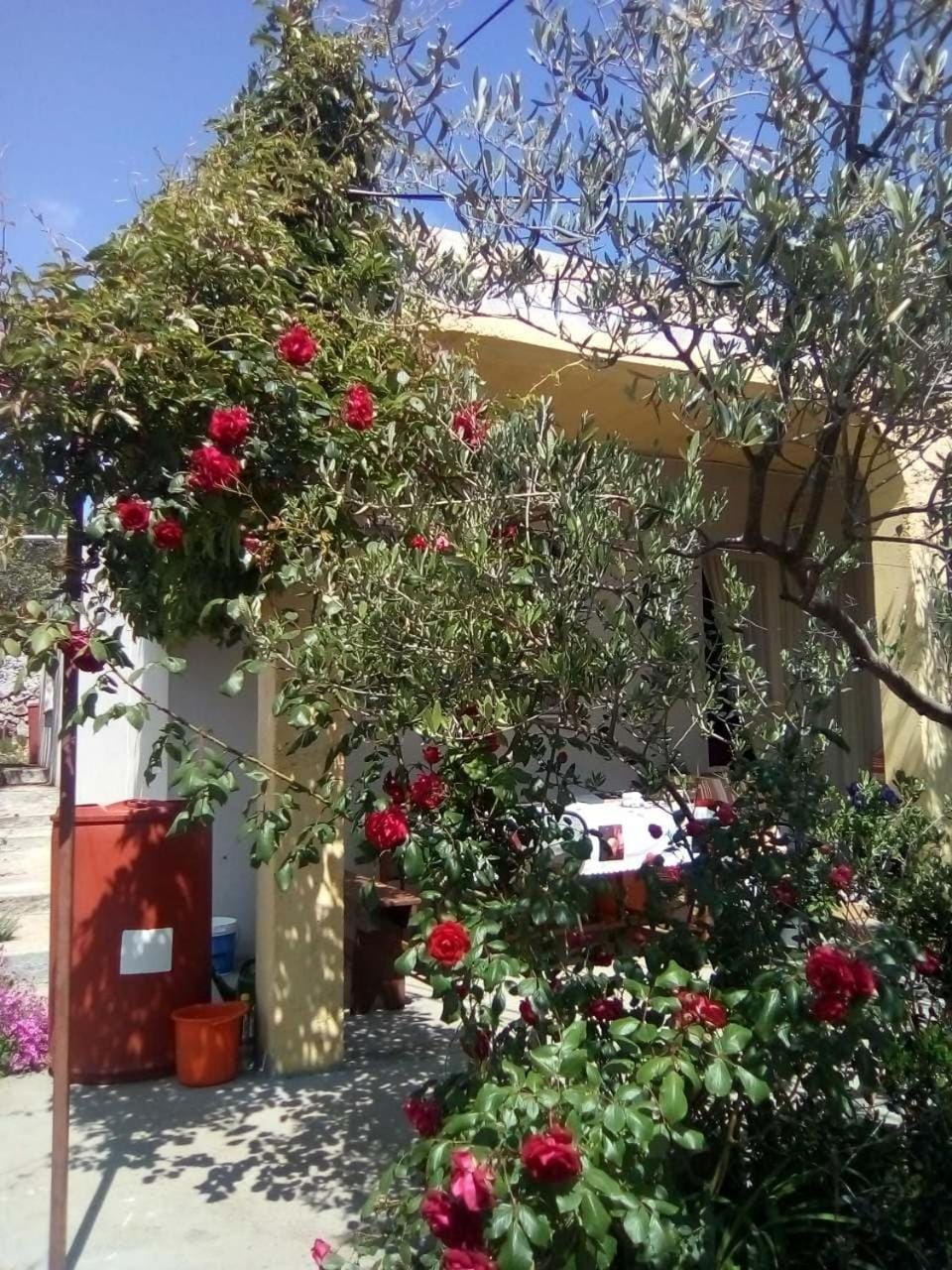 Holiday Home Zeljana House in Šibenik-Knin County, Croatia