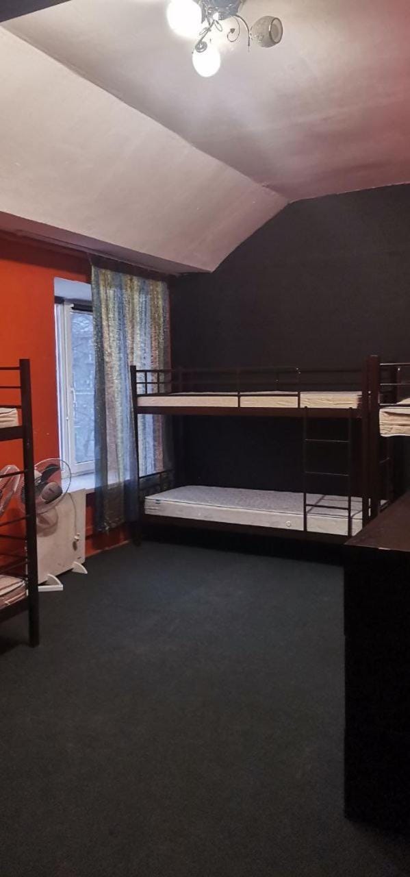 Bed, Photo of the whole room, Bedroom, bunk bed