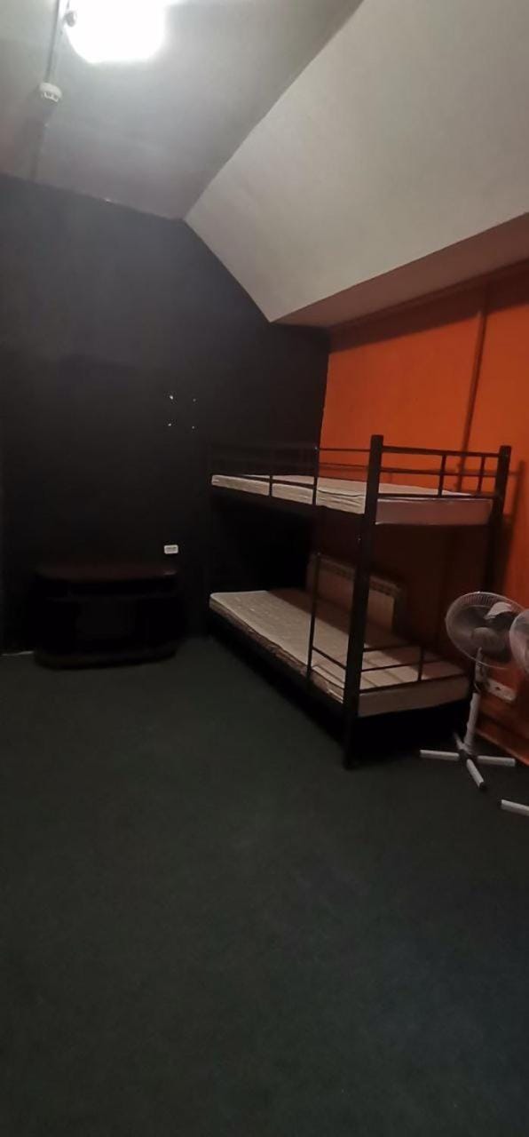 Bed, Photo of the whole room, Bedroom, bunk bed