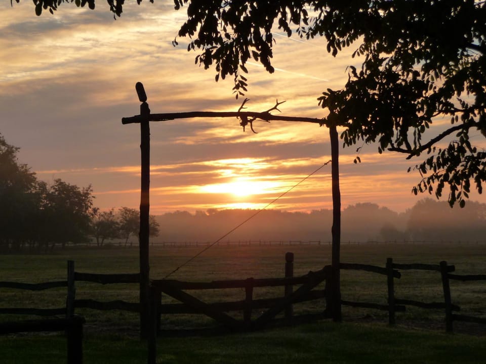 Sunrise