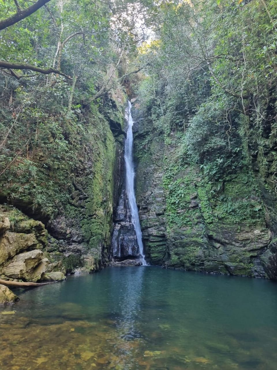 Natural landscape
