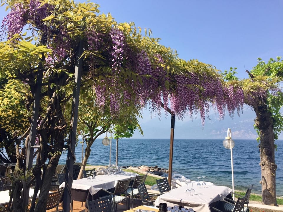 Restaurant/places to eat, Garden, Lake view