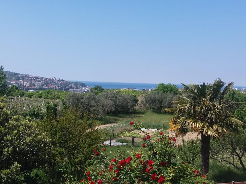 On site, Garden view, Sea view