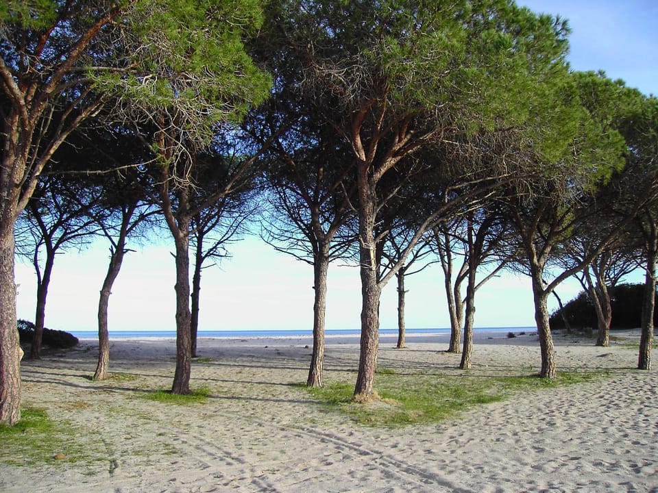 Natural landscape, Beach