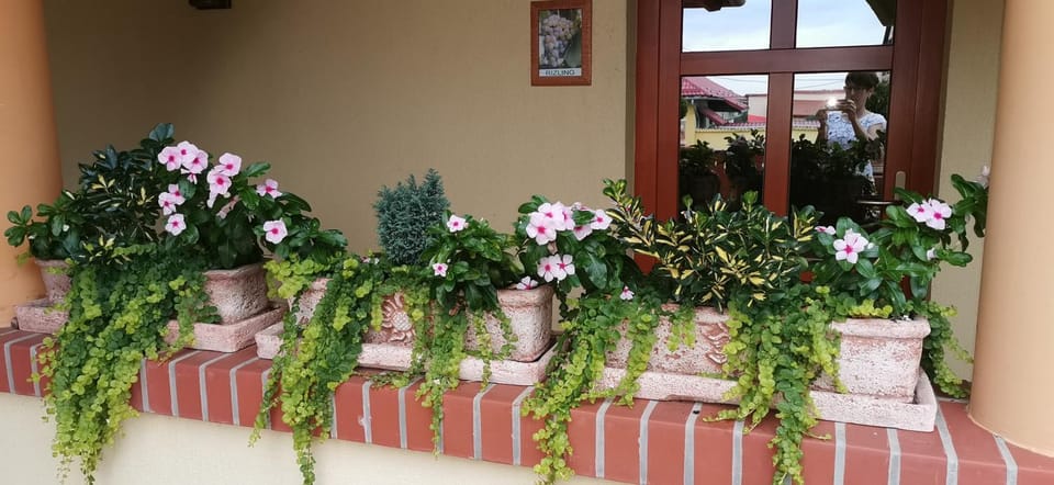 Vitis Vendégház Bed and Breakfast in Hungary