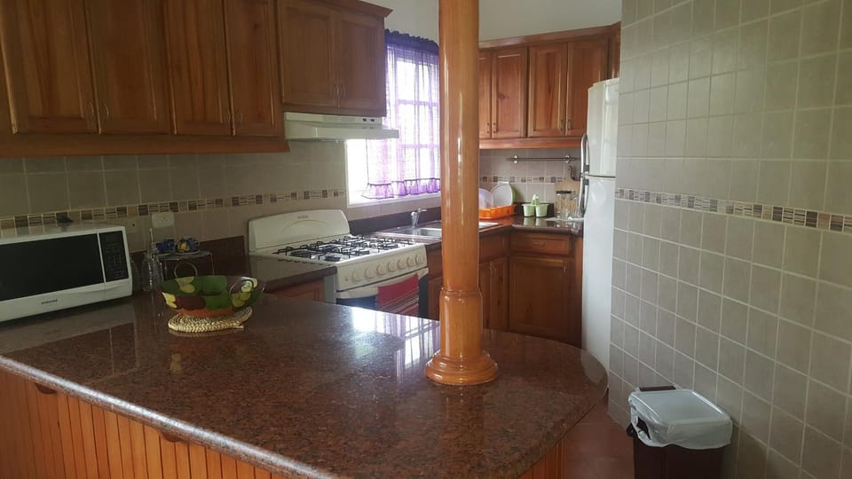 Kitchen or kitchenette, dishwasher, minibar, oven, pet friendly, stove, toaster