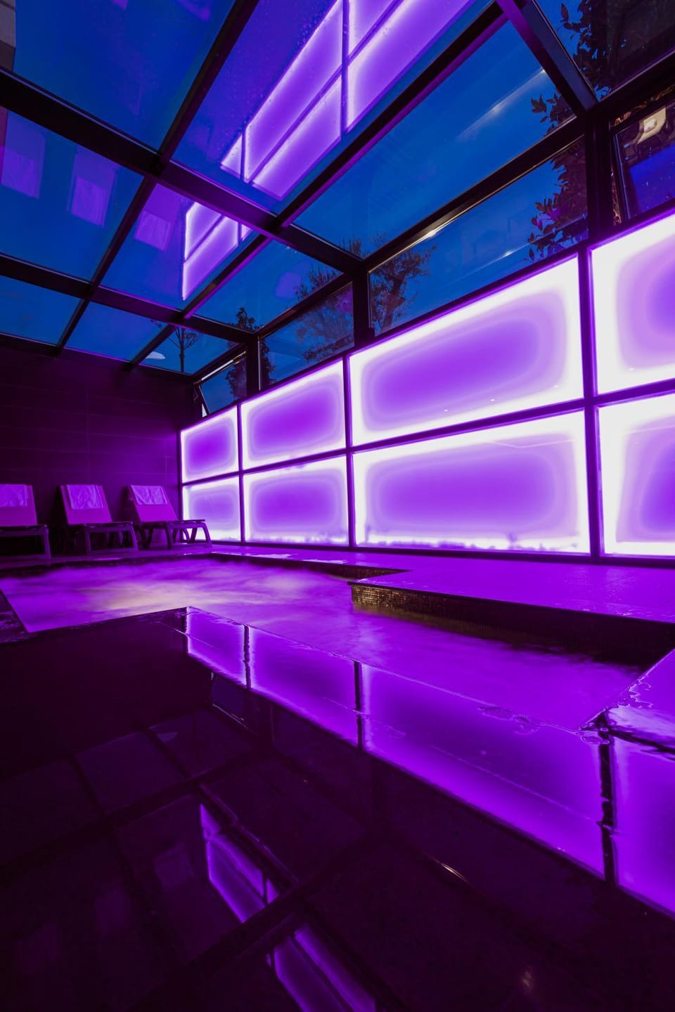 Spa and wellness centre/facilities, Swimming pool