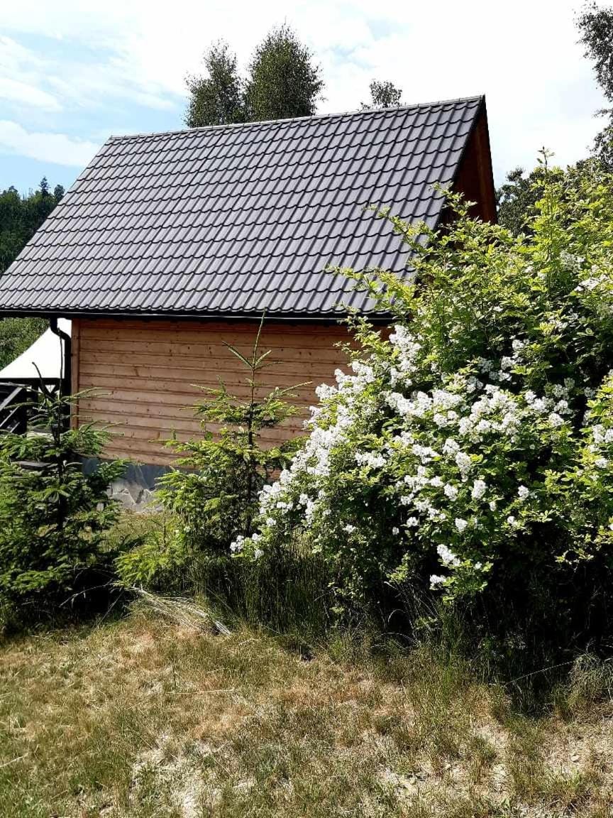 Villa Róża House in Slovakia