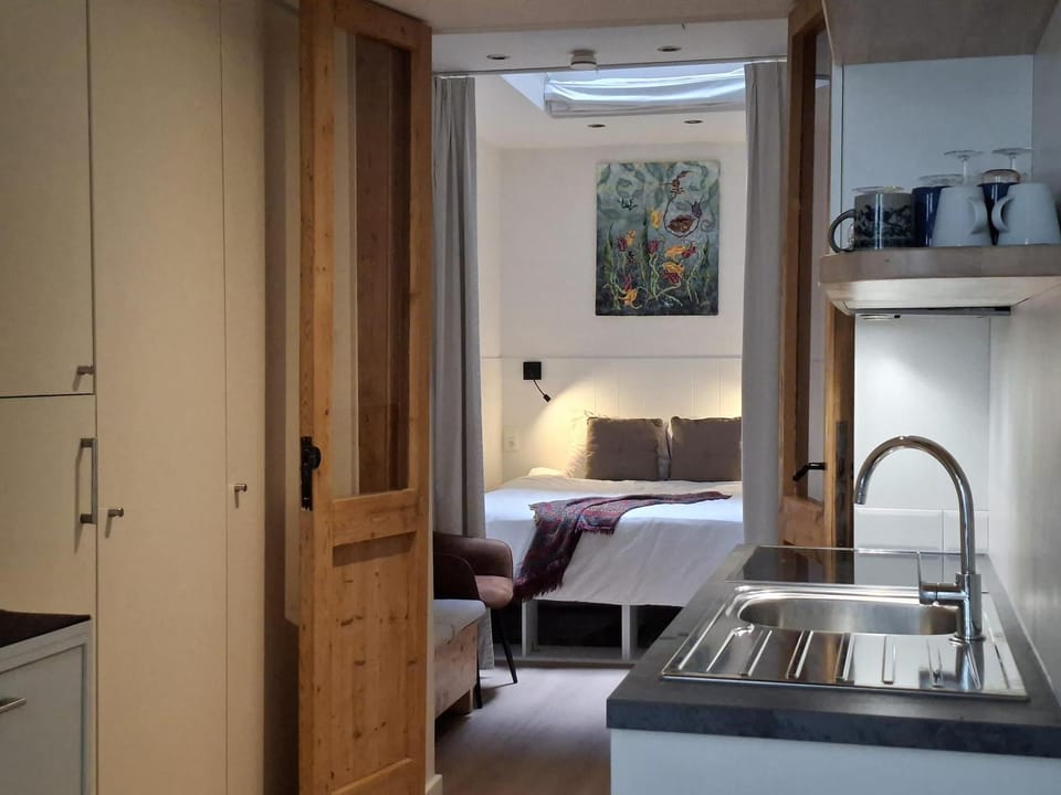 Kitchen or kitchenette, Bedroom