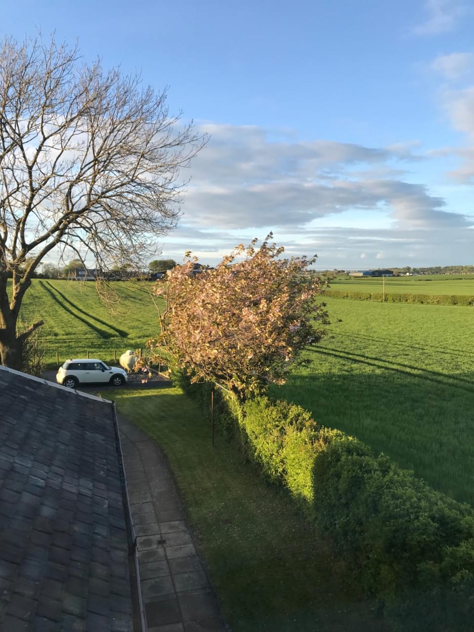 Ayrshire cottage House in England