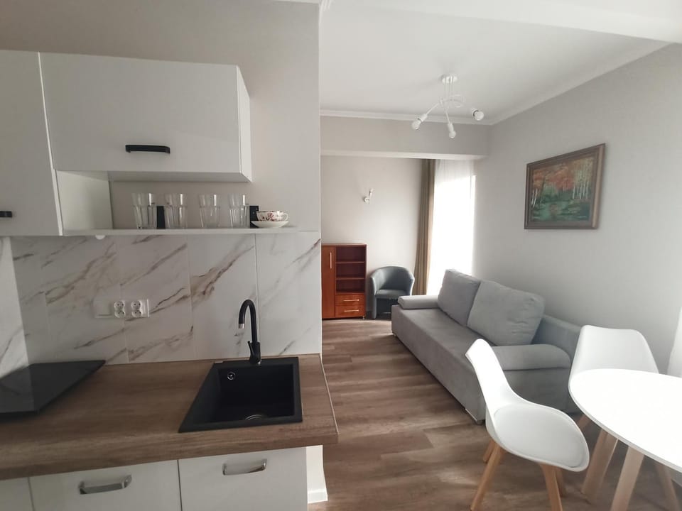 Kitchen or kitchenette, Living room, Other, Other, Other, Seating area, Dining area, stove