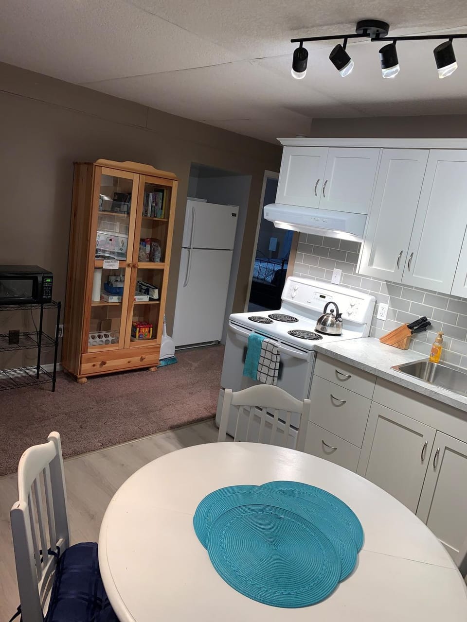 Newly Renovated Basement Suite! Apartment in Lethbridge