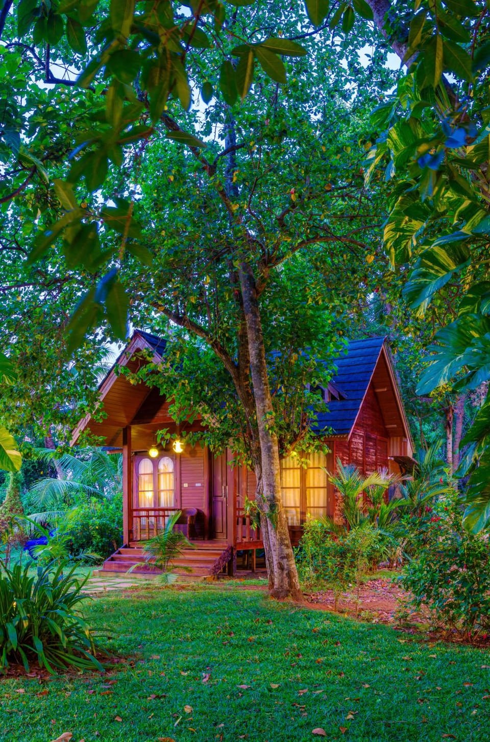 Garden view