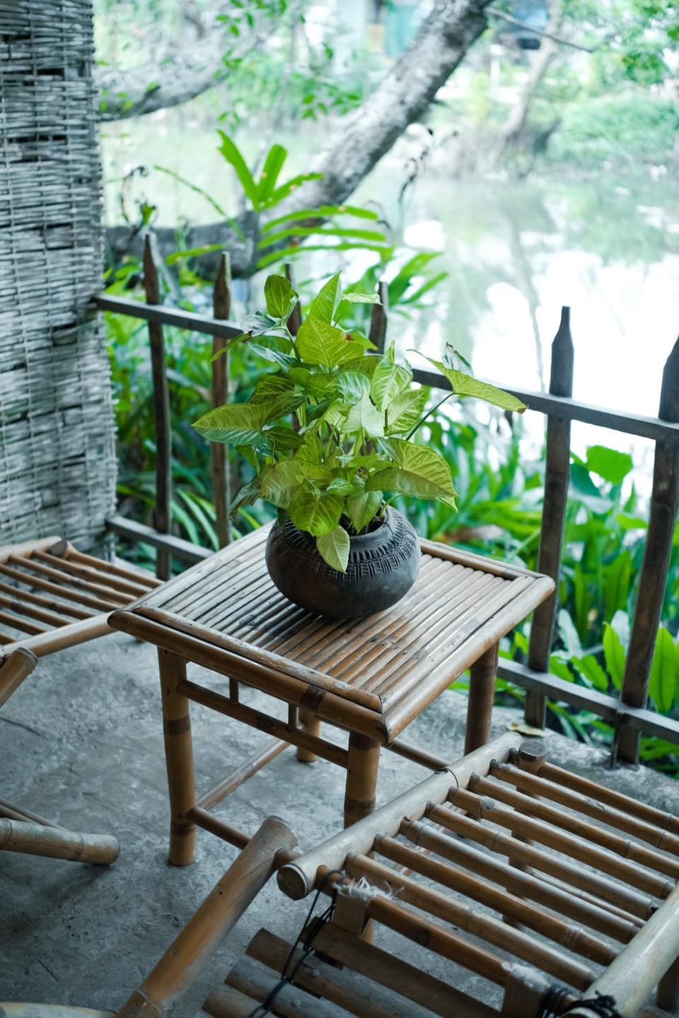 Dan Sinh Homestay Vacation rental in Cambodia