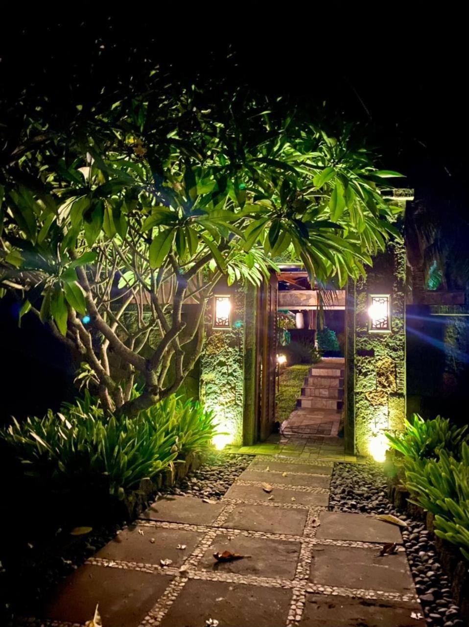 Night, Garden