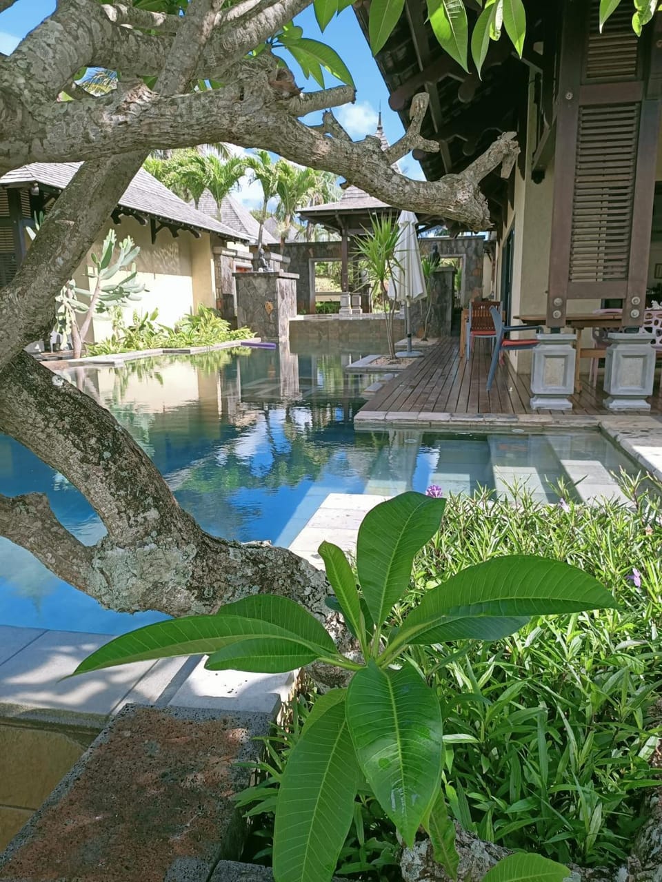 Garden view, Swimming pool