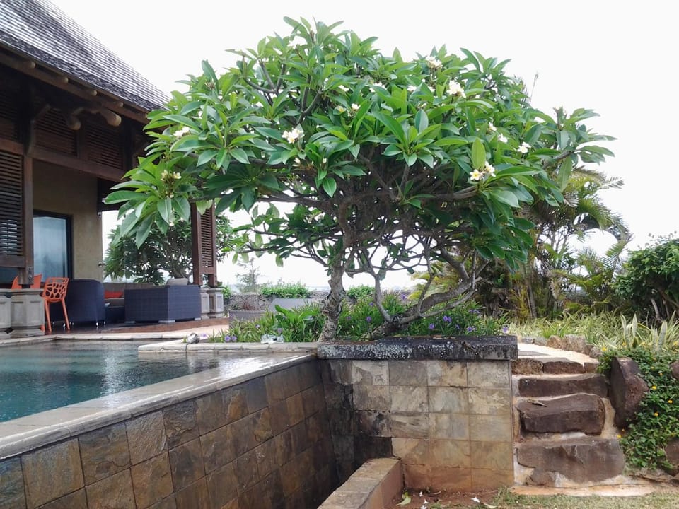 Garden view, Pool view, Swimming pool
