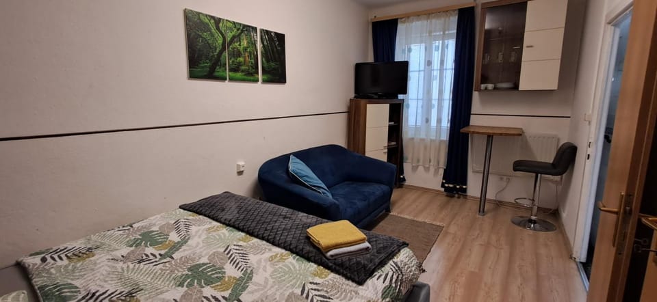Apartment AP 1 im Zentrum Steyr, BESTROOMS eU Apartment in Upper Austria