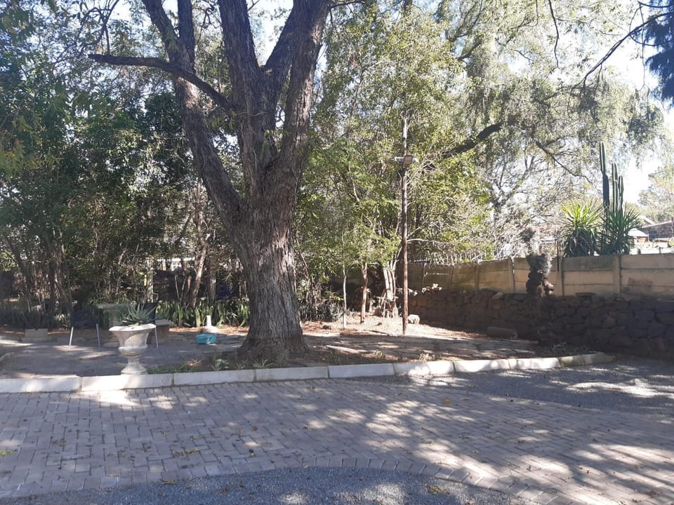 Natural landscape, Garden view