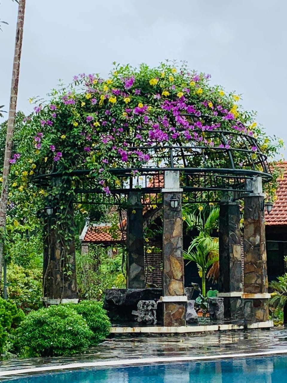 Garden view