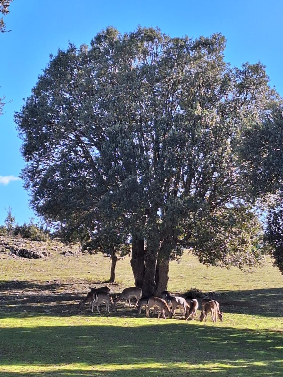 Natural landscape
