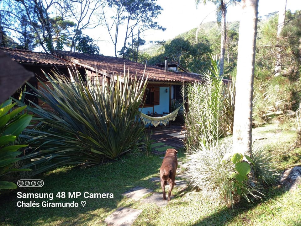 Garden, On site, Garden view, Landmark view