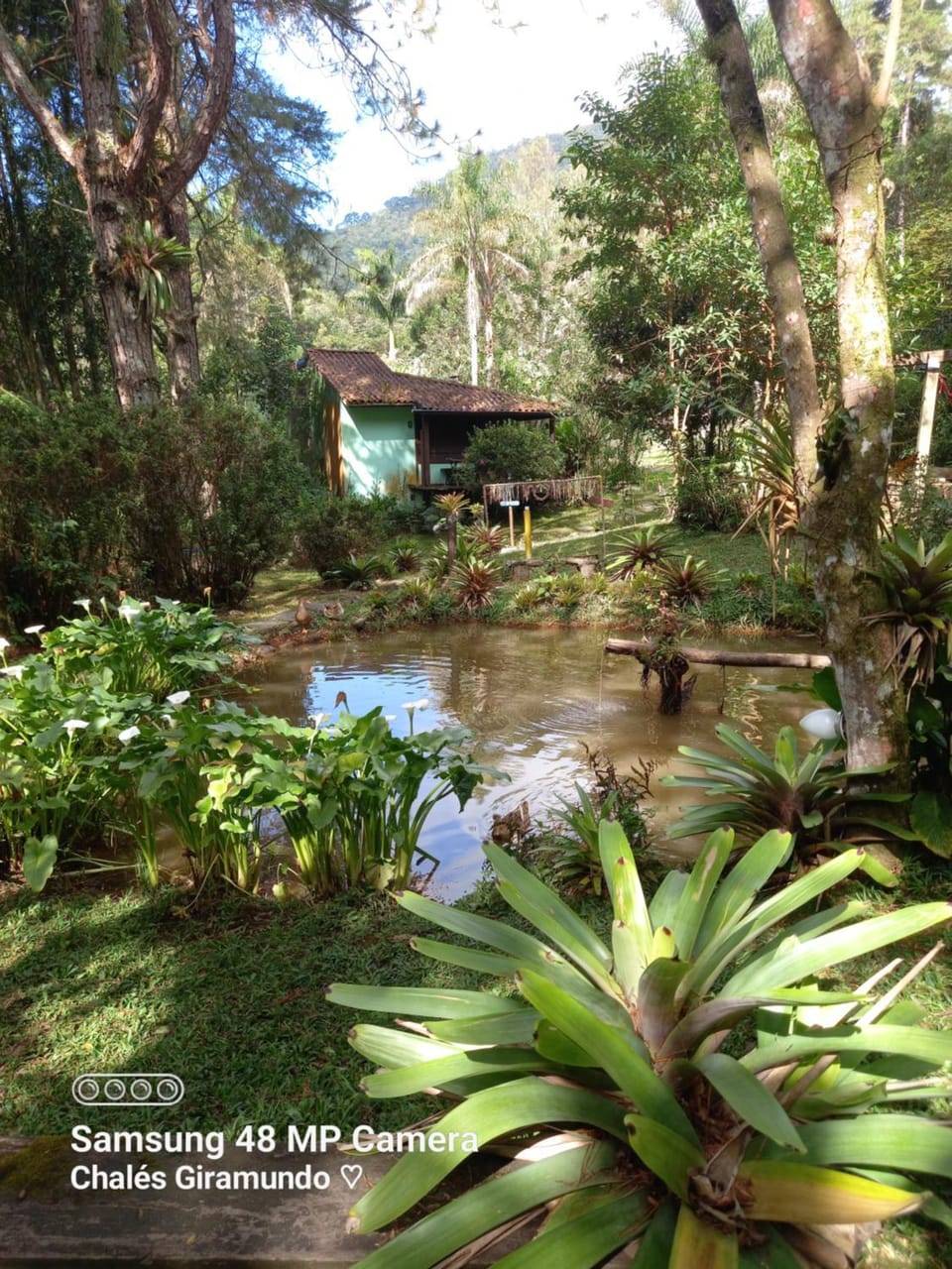 Lake view