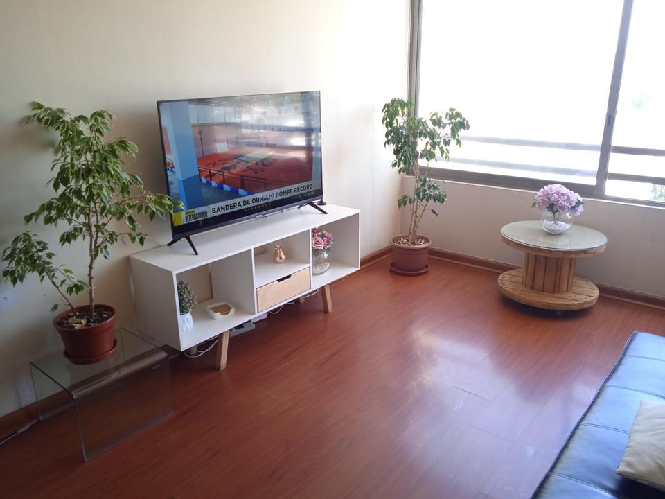 Departamento Santiago Centro Apartment in Recoleta