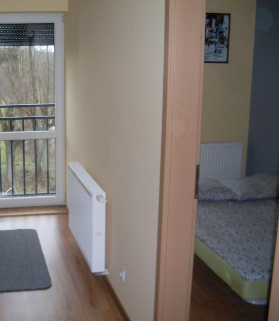 Willa Rubin Vacation rental in Greater Poland Voivodeship