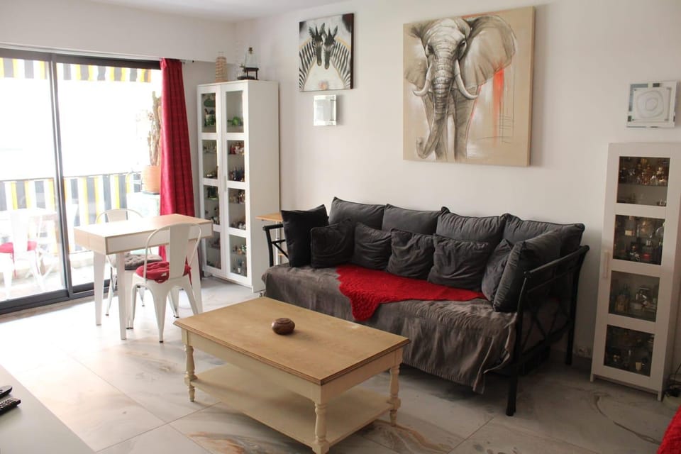 La Baronne Apartment Apartment in Cannes