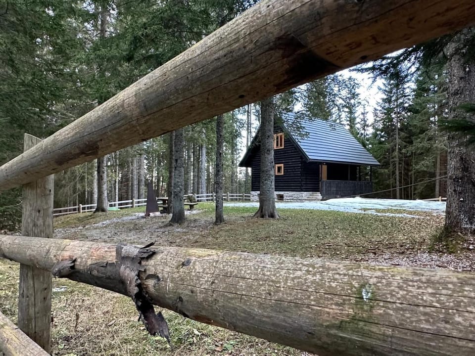 Property building, Natural landscape, Garden