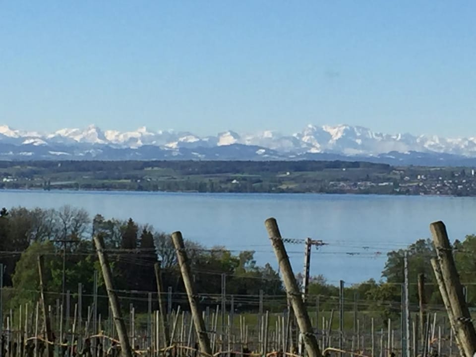 Nearby landmark, Spring, Off site