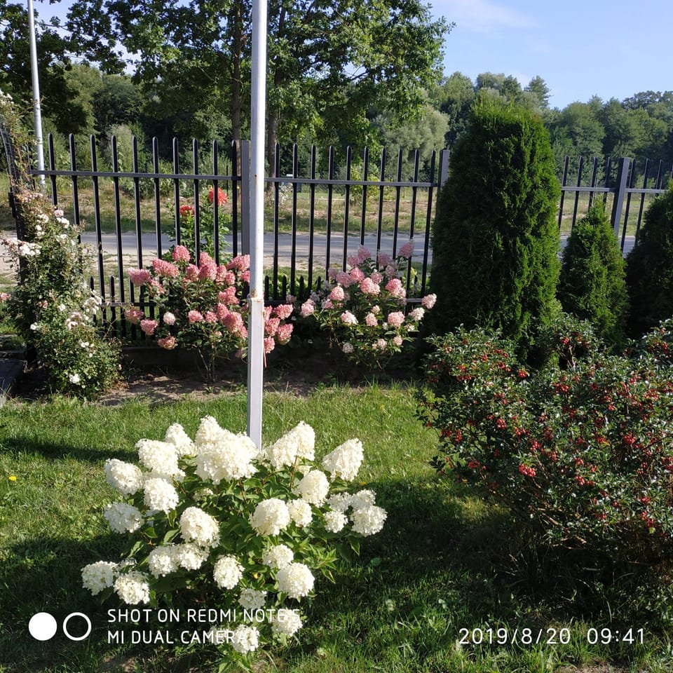Natural landscape, Garden view