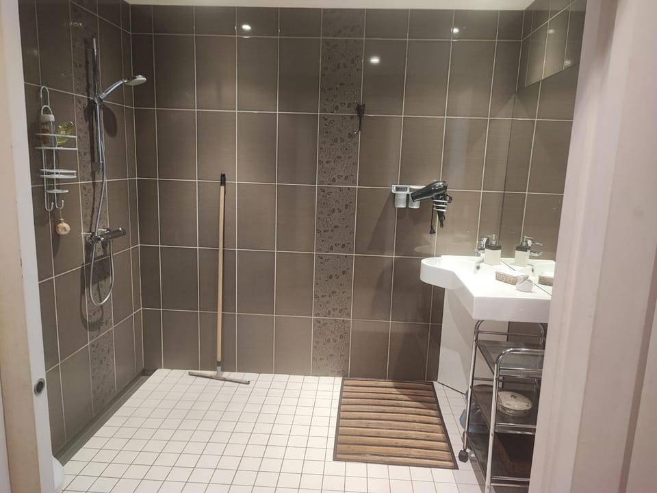 Bathroom, Living room