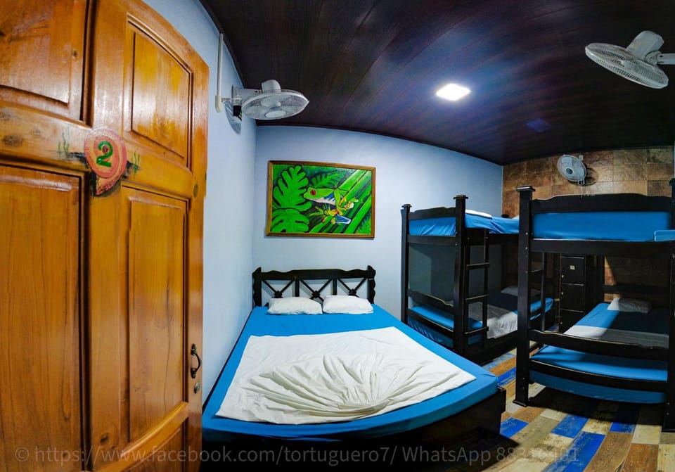Photo of the whole room, Bedroom, bunk bed