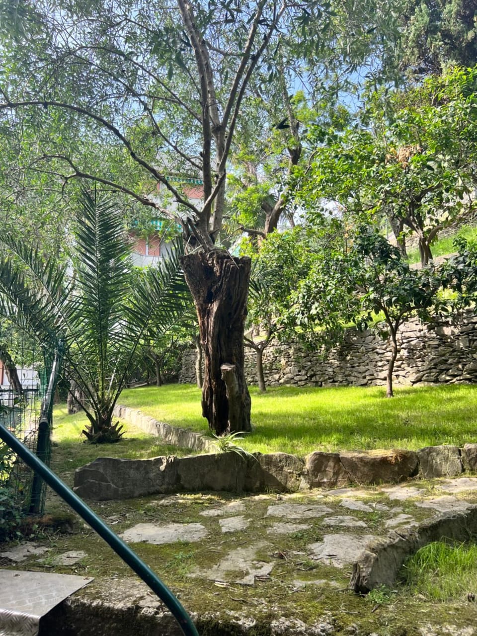 Garden, Garden view