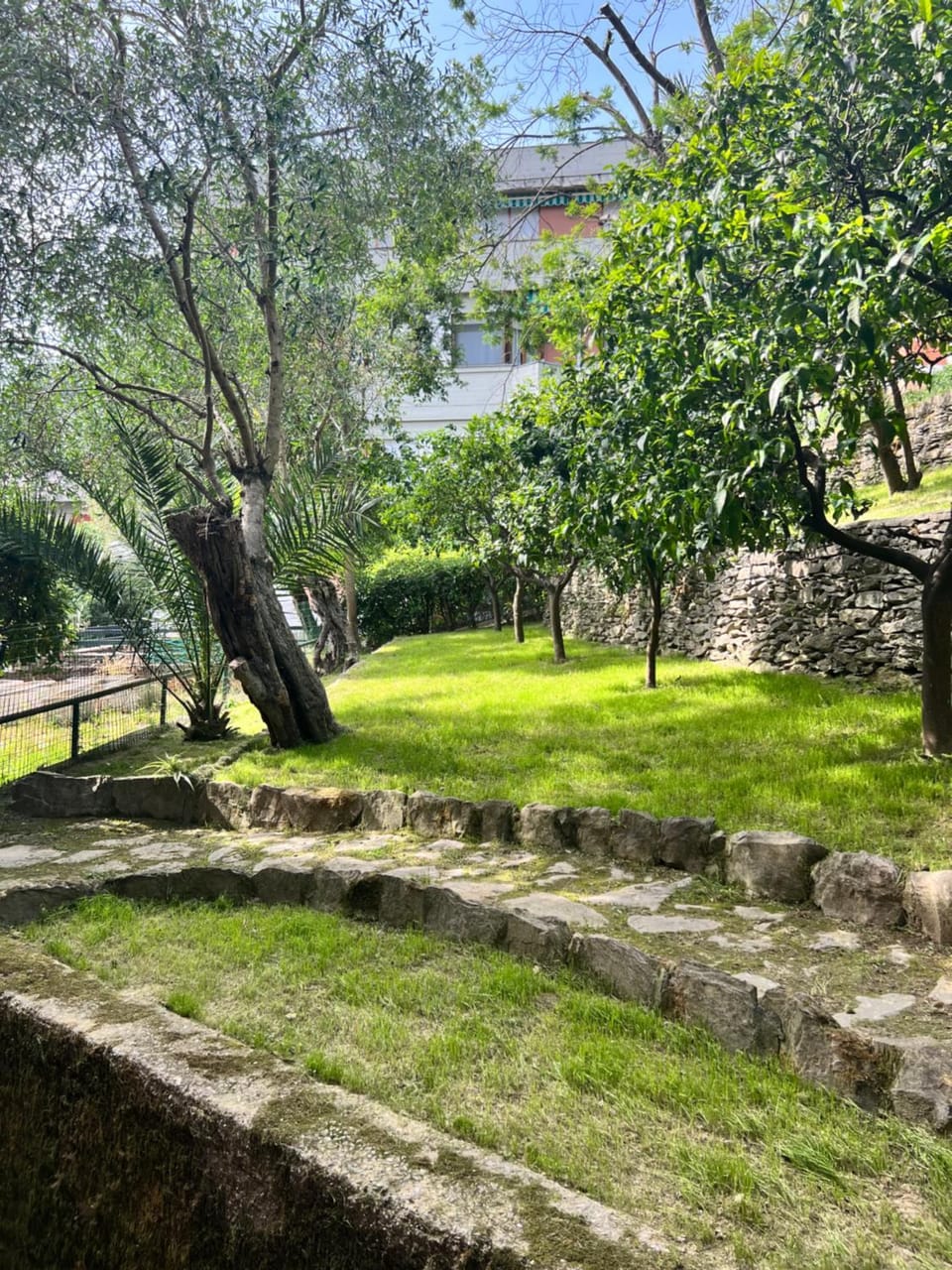 Garden, Garden view