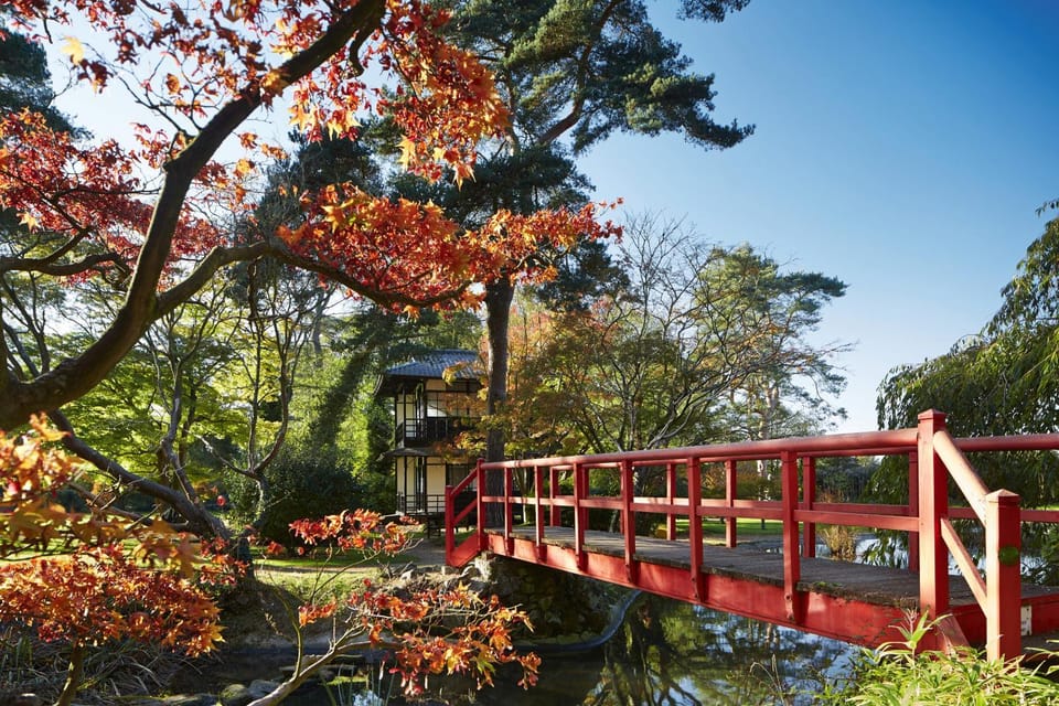 Garden, Garden