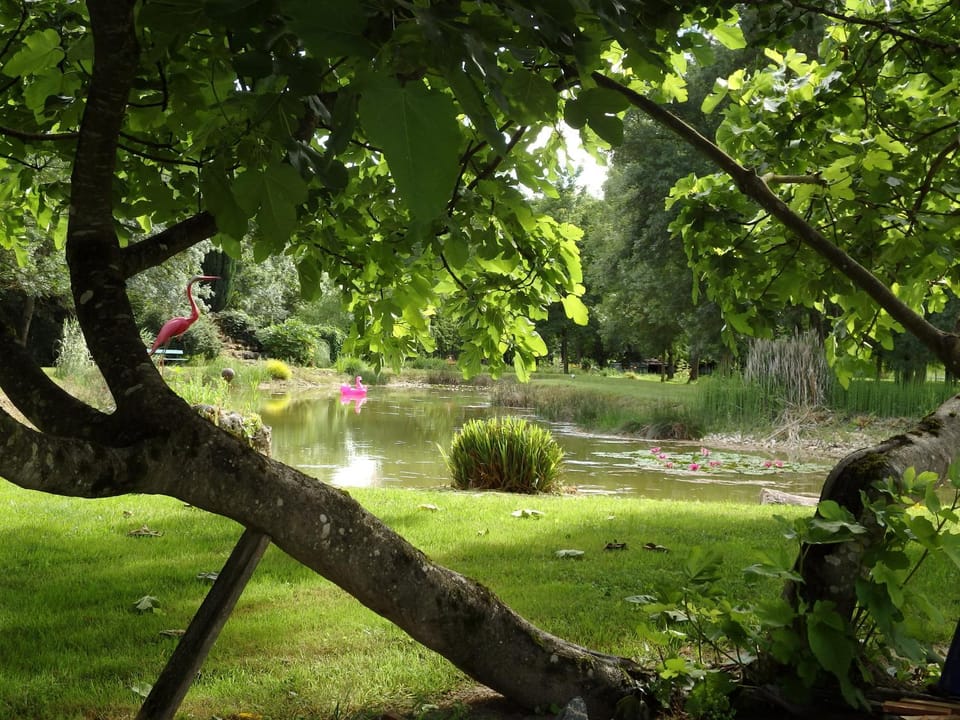 Natural landscape, Garden, Garden view