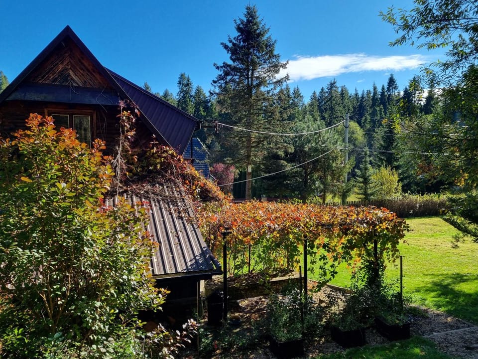 Property building, Day, Natural landscape, Garden, Autumn, Garden view