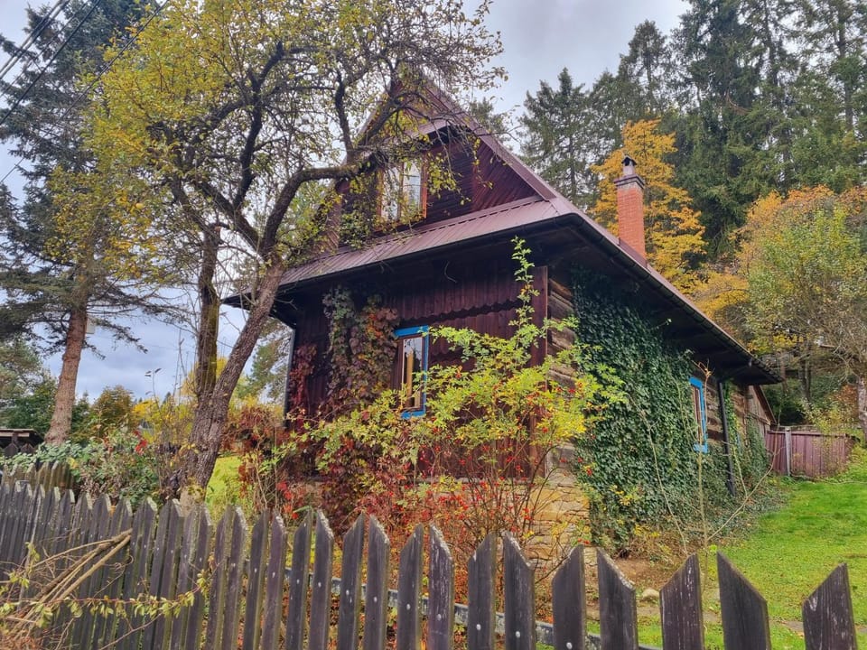 Property building, Day, Natural landscape, Garden, Other, Animals, Autumn, Garden view