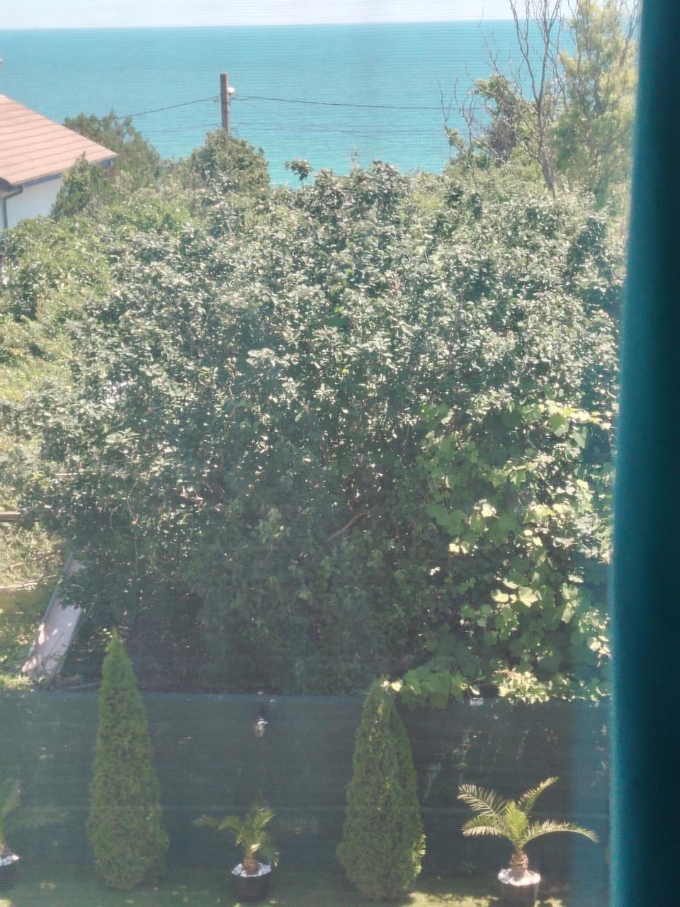 Casa Daniela Bed and Breakfast in Dobrich Province, Bulgaria