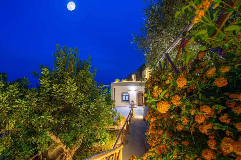 Property building, Night, Garden, Garden view
