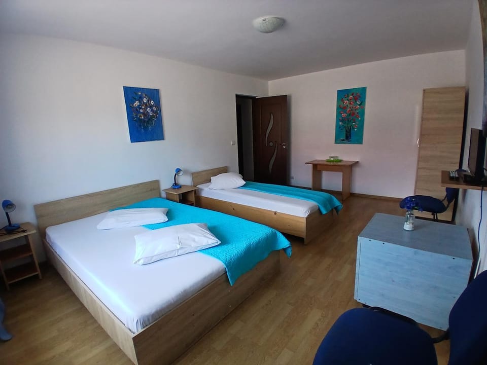 Casa Rustica Apart & Rooms Bed and Breakfast in Romania