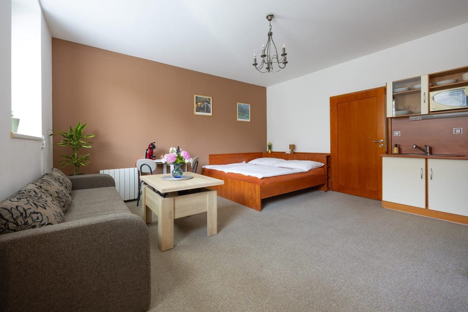 Bed, Kitchen or kitchenette, Living room