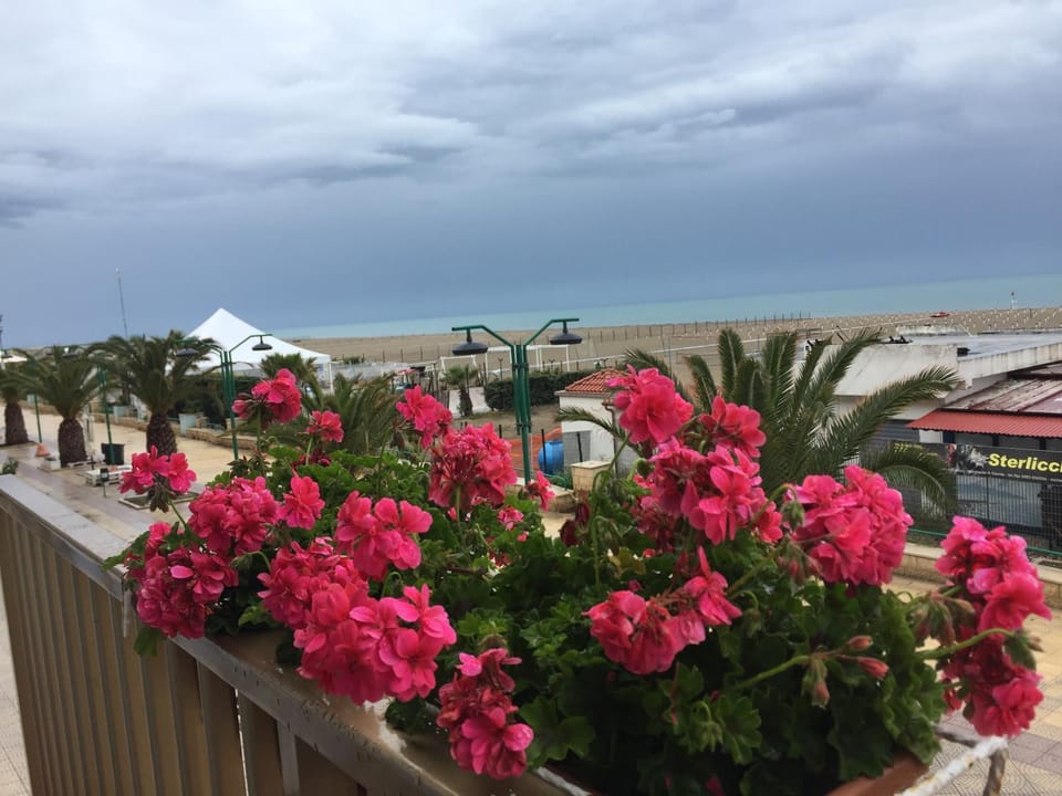 Balcony/Terrace, Sea view