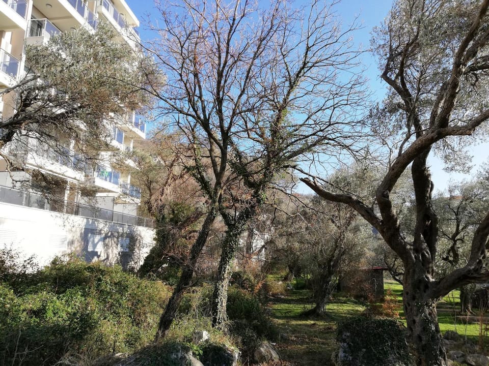Garden, Hiking