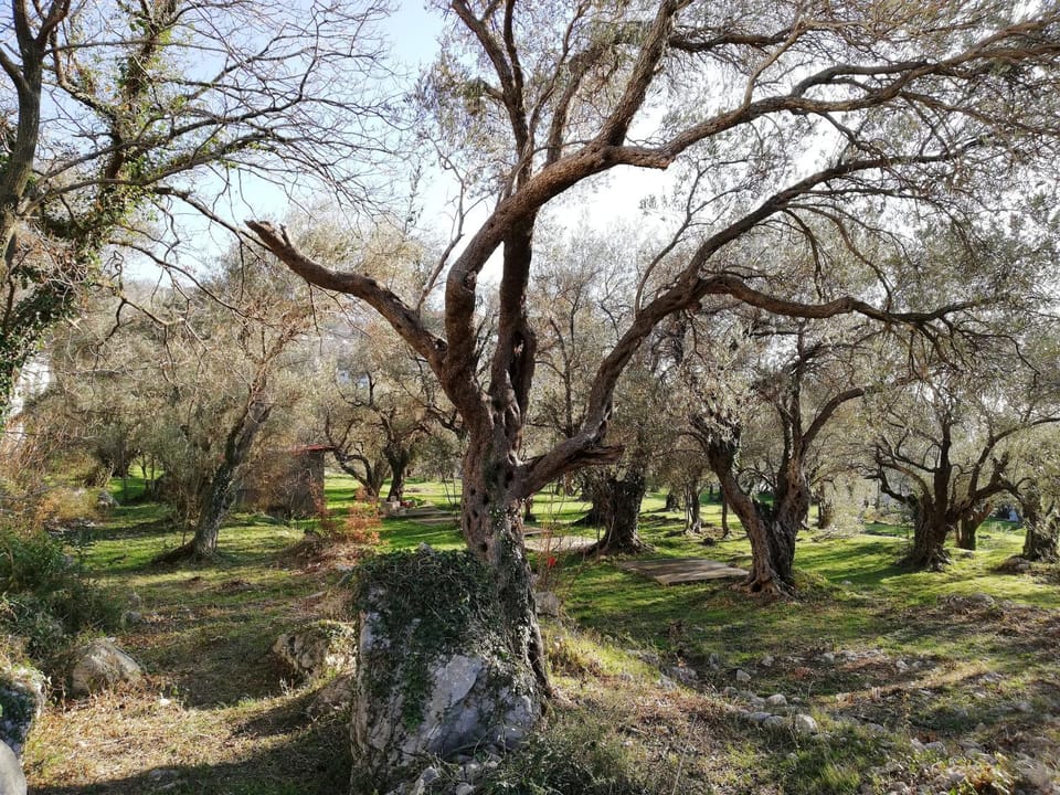 Garden, Hiking
