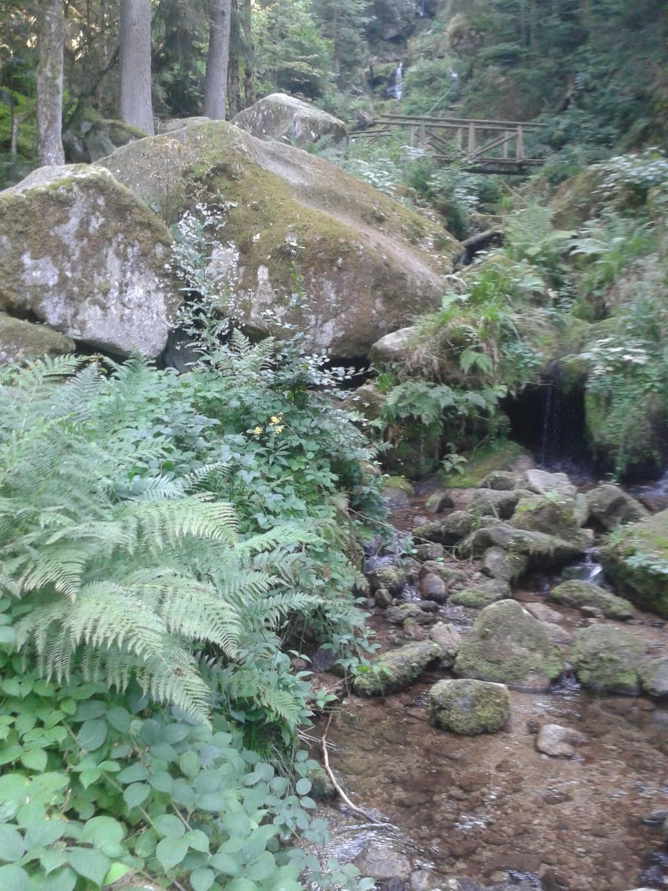 Natural landscape, Hiking
