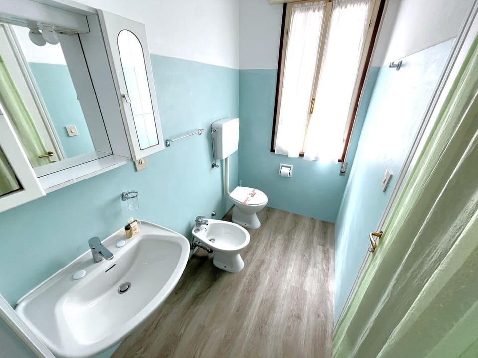 Shower, Toilet, Bathroom, bidet